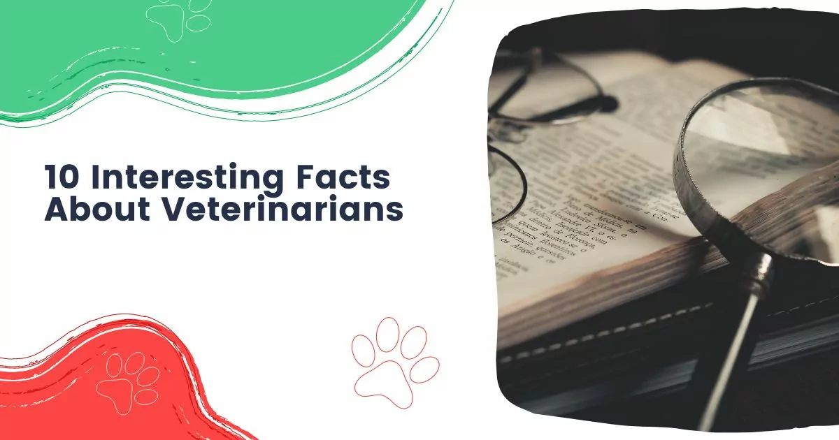 10 interesting facts about veterinarians