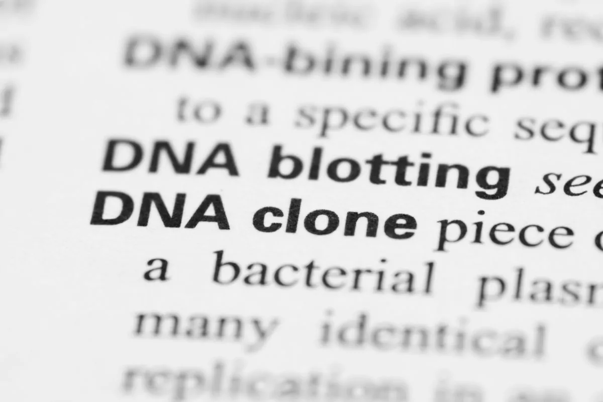 DNA clone definition