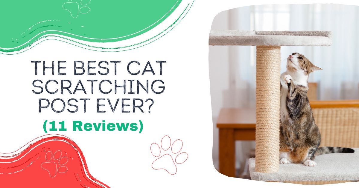 Four Paws Super Catnip Carpet and Sisal Scratching Post Cat House 2 Pack 