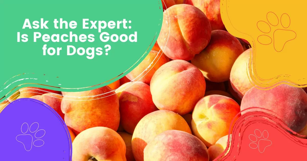 is peaches good for dogs