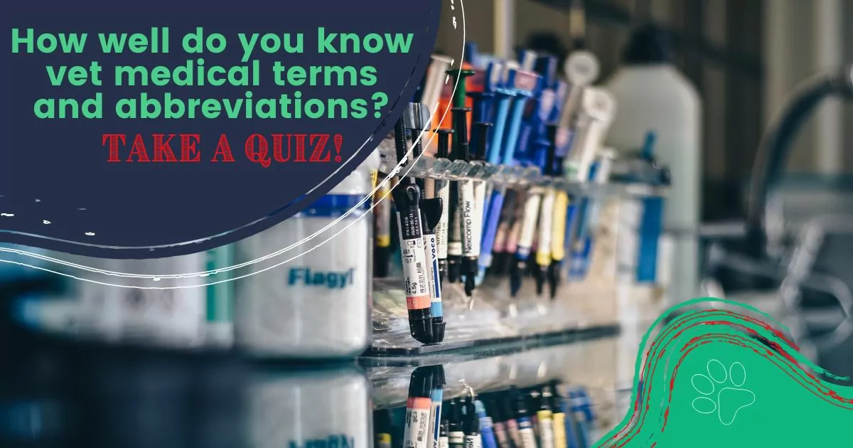 How well do you know vet medical terms and abbreviations Take a quiz I Love Veterinary - Blog for Veterinarians, Vet Techs, Students