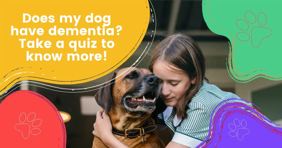 does my dog have dementia quiz