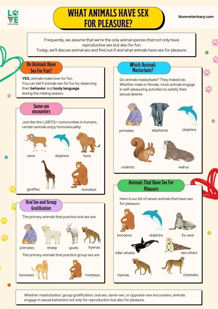 infographic on what animals have sex for pleasure from I Love Veterinary