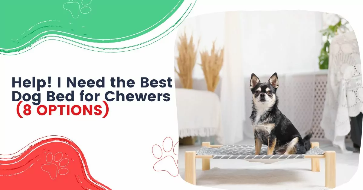 best dog bed for chewers