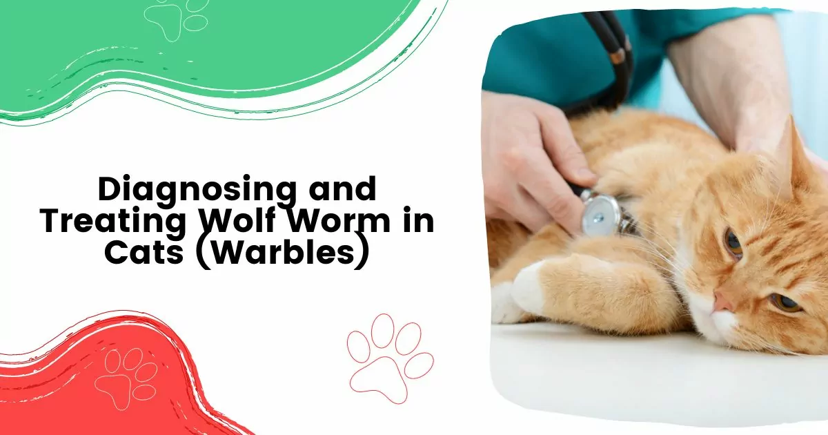 wolf worm in cats