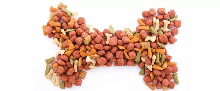 Dog food with probiotics