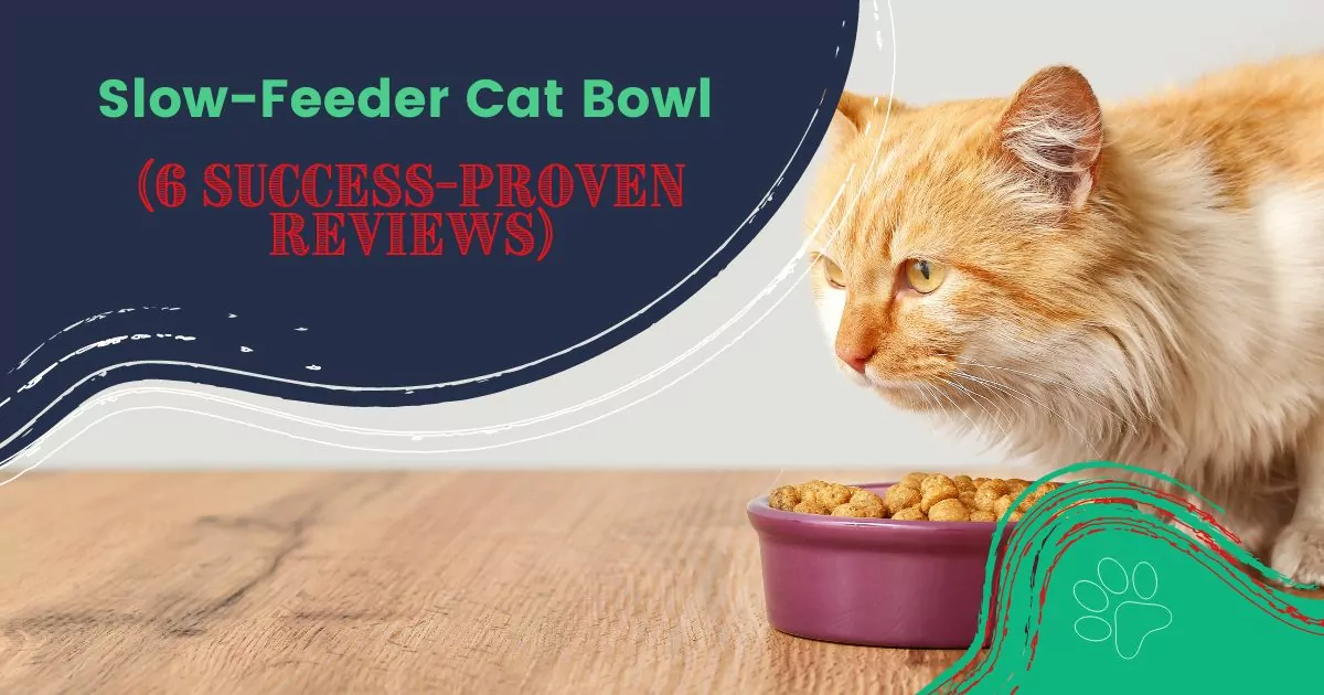 Slow-Feeder Cat Bowl