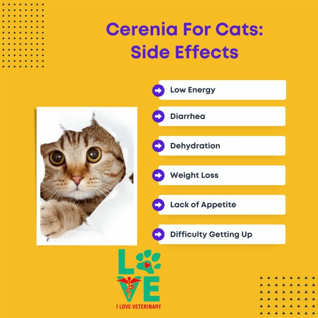 cerenia for cats side effects