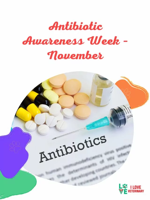 Antibiotic Awareness Week – November