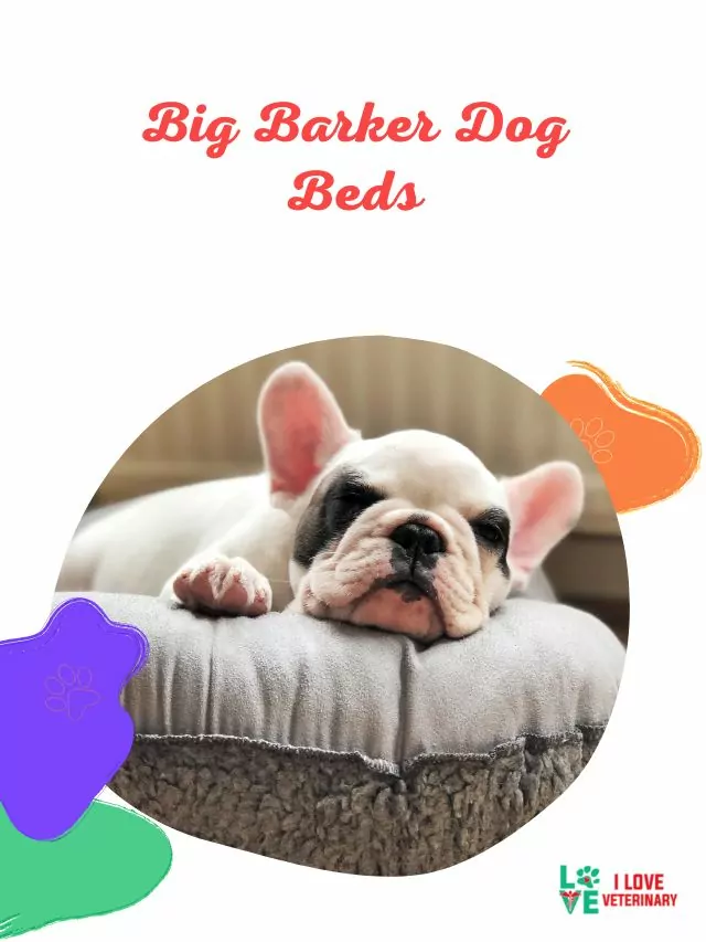 Big Barker Dog Beds