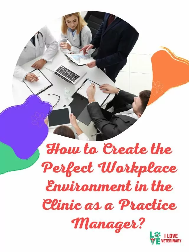 How to Create the Perfect Workplace Environment in the Clinic as a Practice Manager?