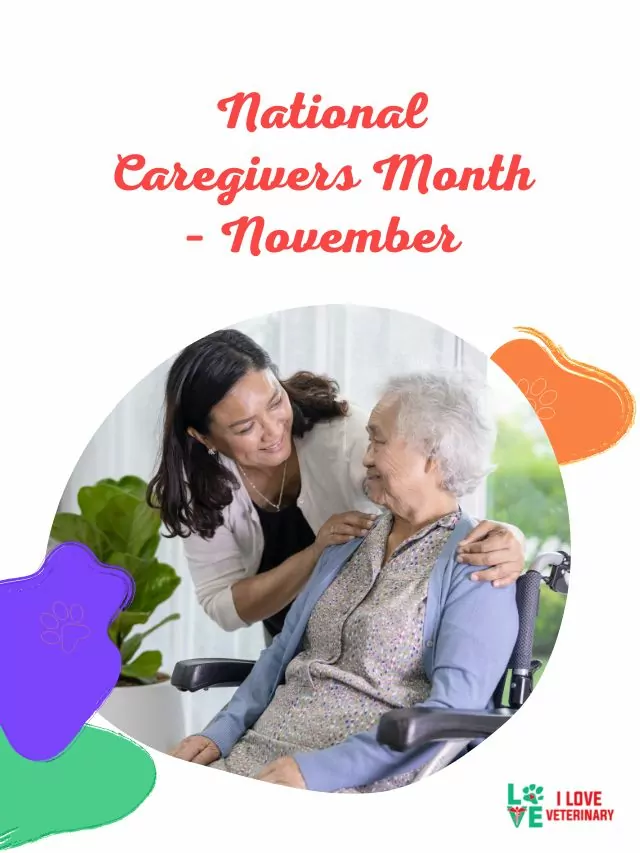 National Caregivers Month – November