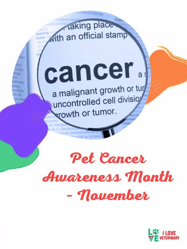 Pet Cancer Awareness Month – November