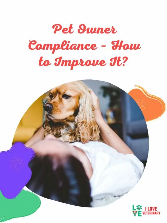 Pet Owner Compliance – How to Improve It?