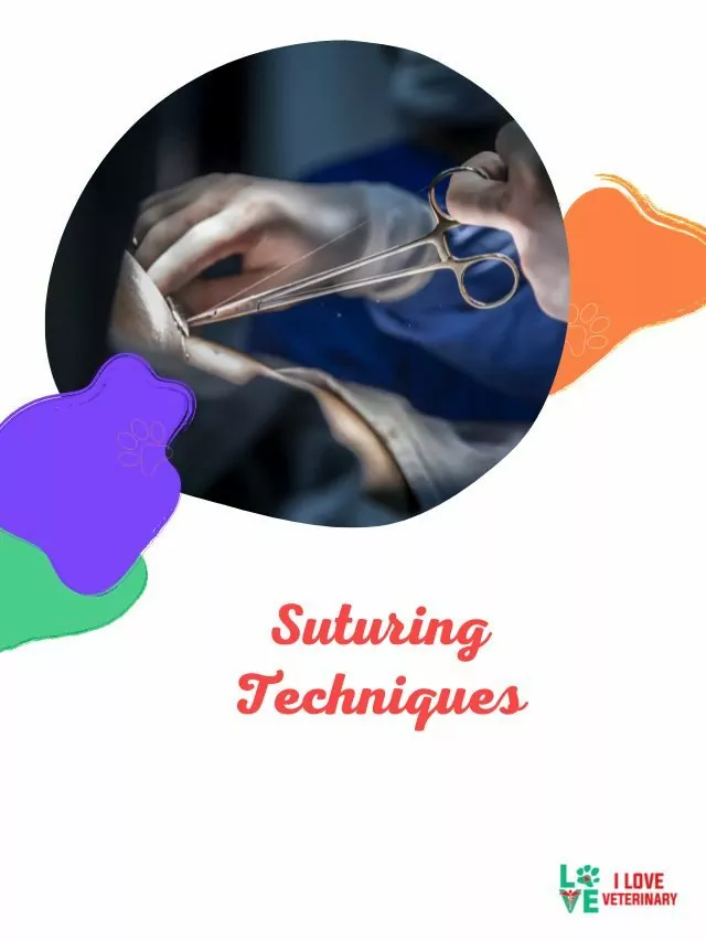 Suturing Techniques