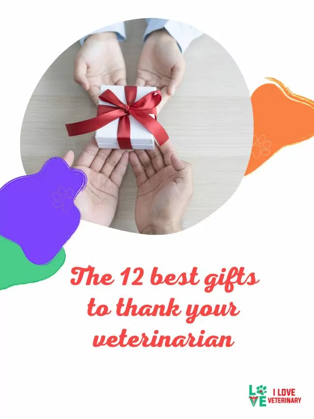 The 12 best gifts to thank your veterinarian