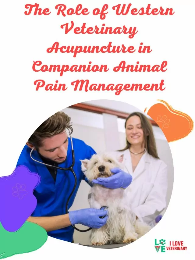 The Role of Western Veterinary Acupuncture in Companion Animal Pain Management