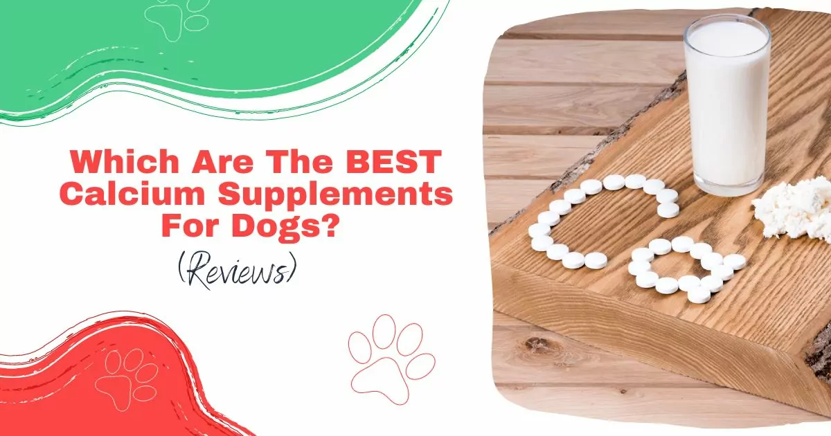 best calcium supplements for dogs