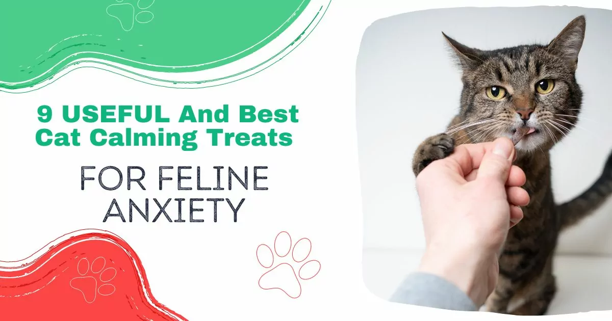 best cat calming treats