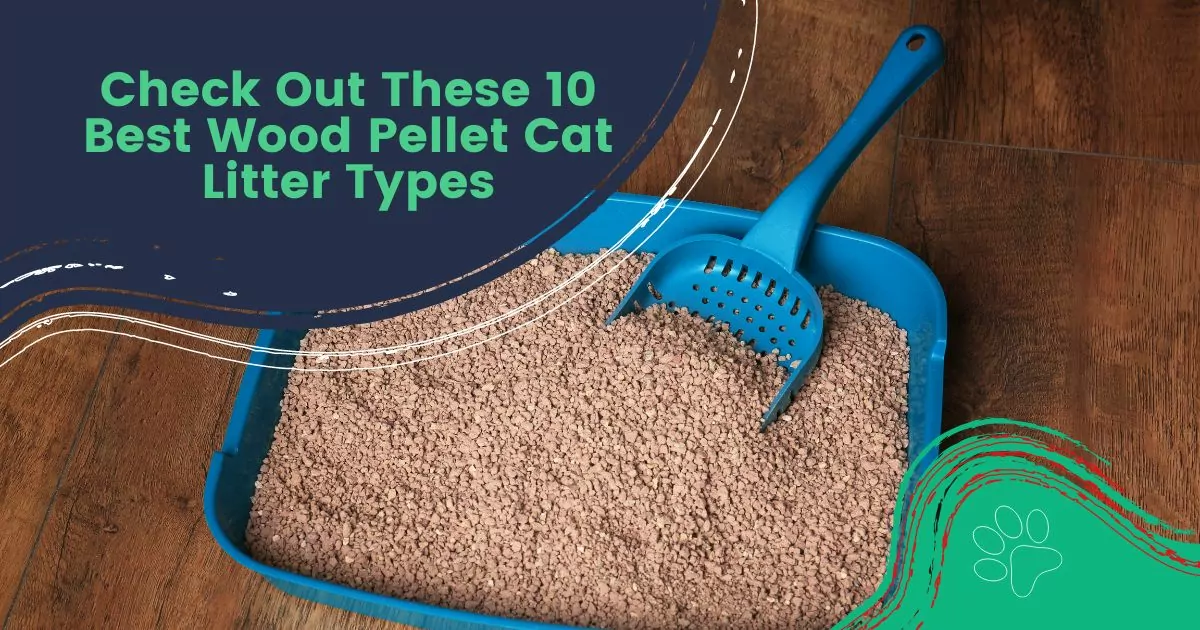 best wood pellet cat litter