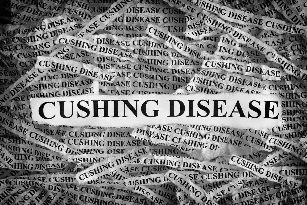 Cushing disease