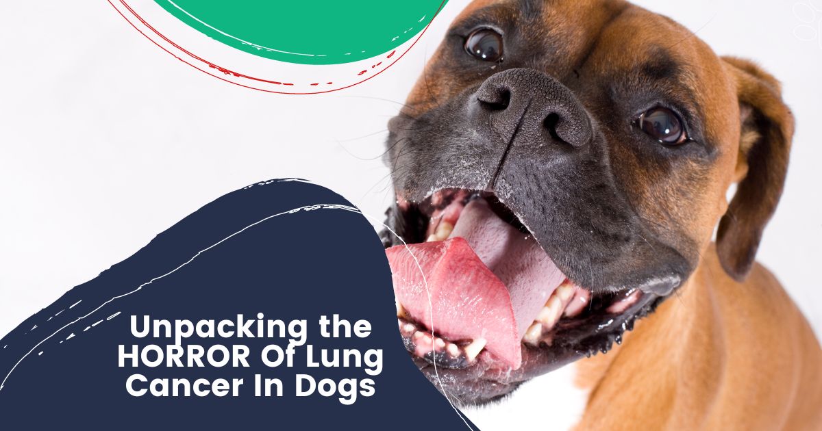 cancro ai polmoni nei cani