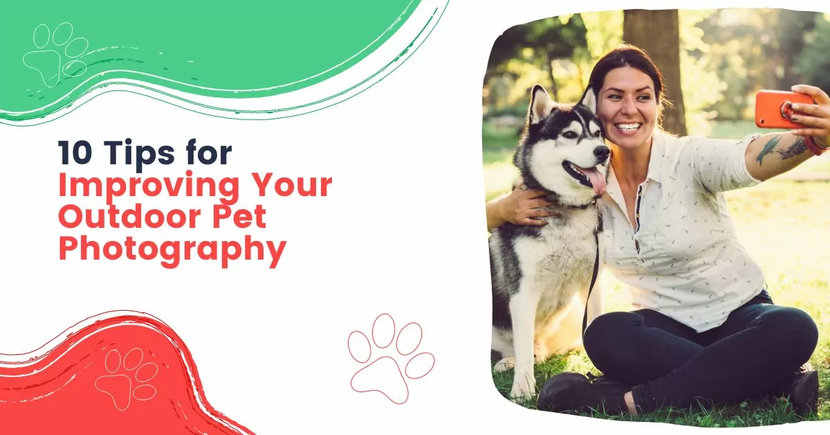 10 Tips for Improving Your Outdoor Pet Photography I Love Veterinary - Blog for Veterinarians, Vet Techs, Students