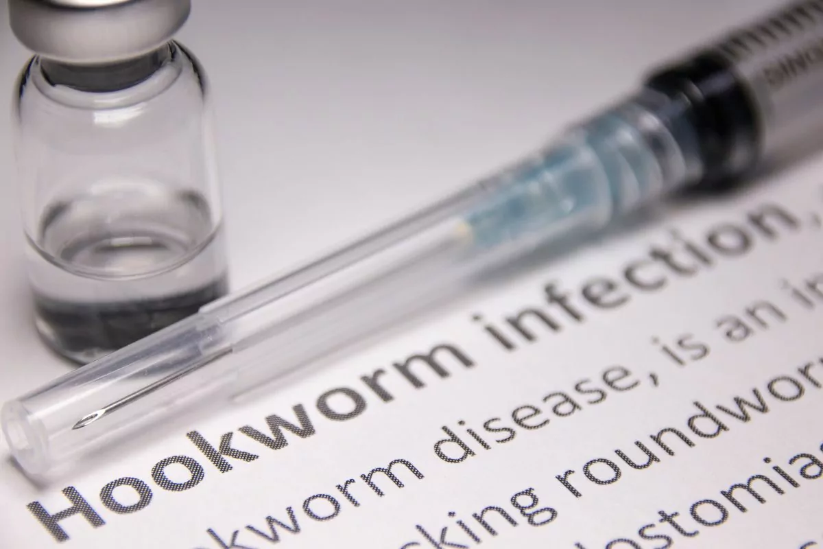 Hookworm infection