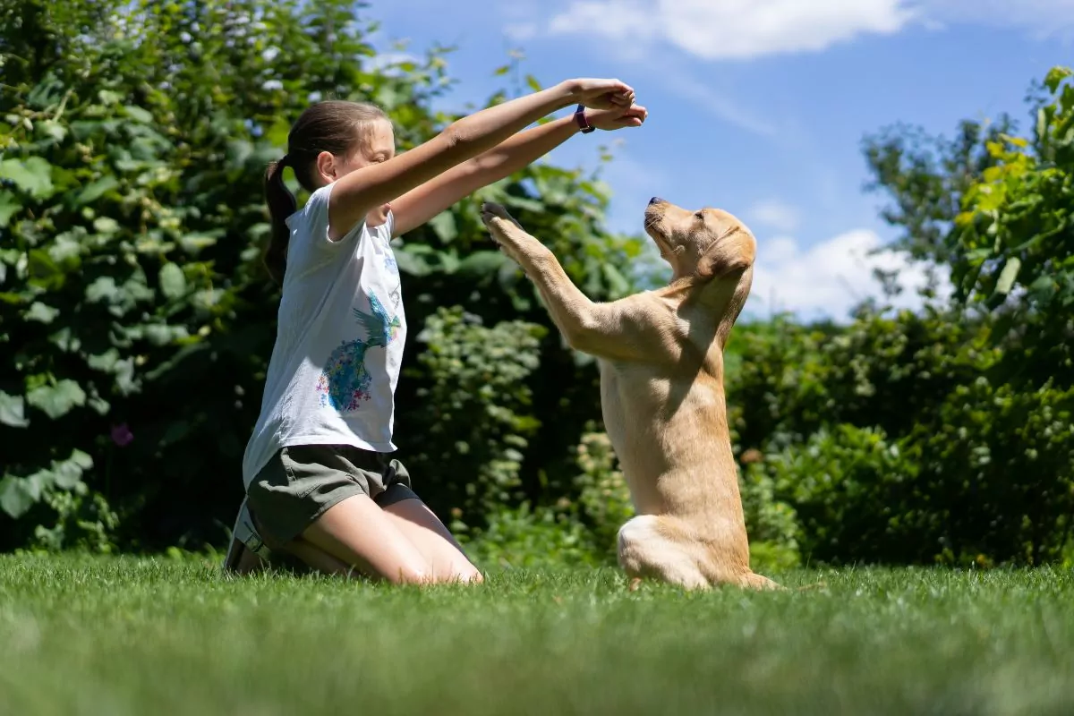 Dog training in the garden