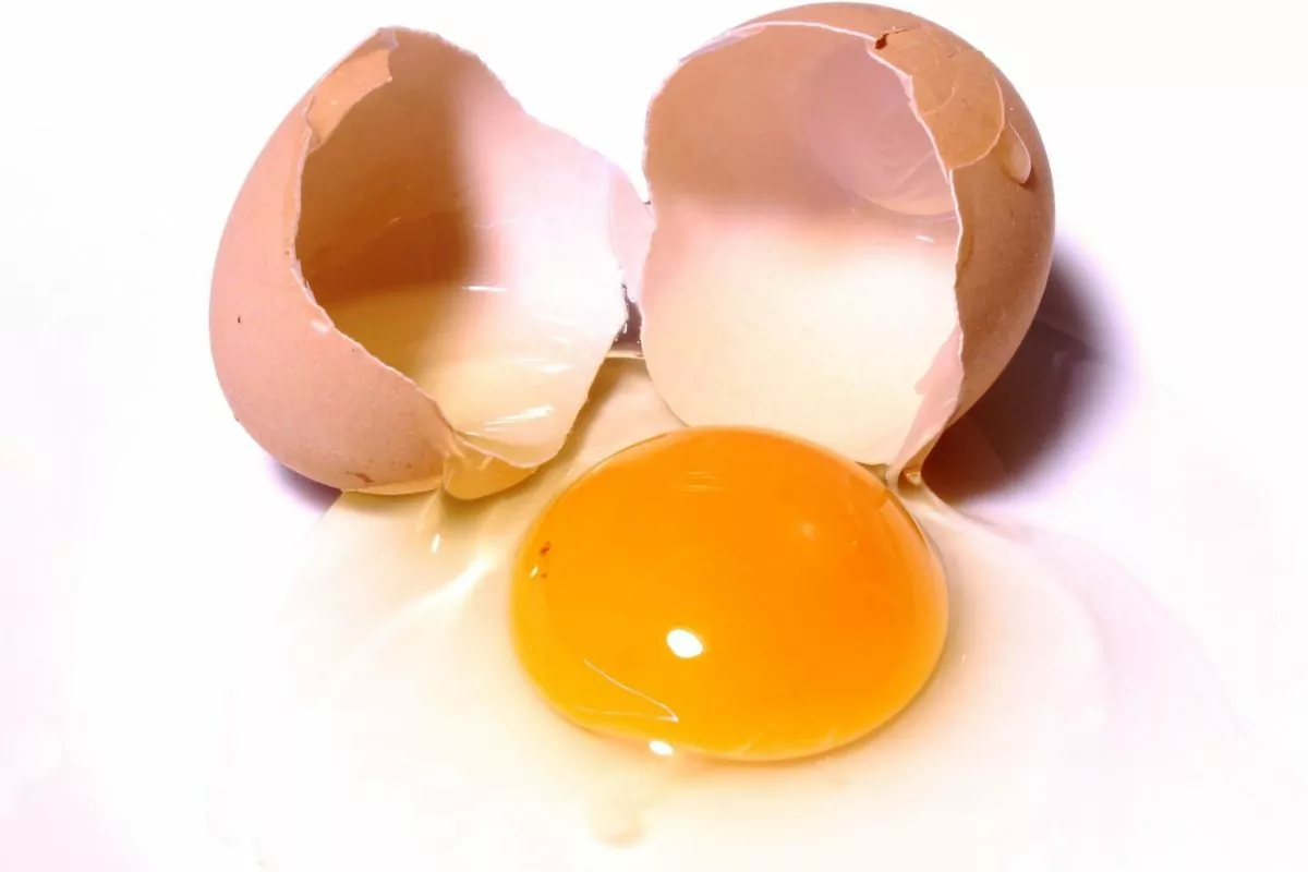 Egg and eggshell