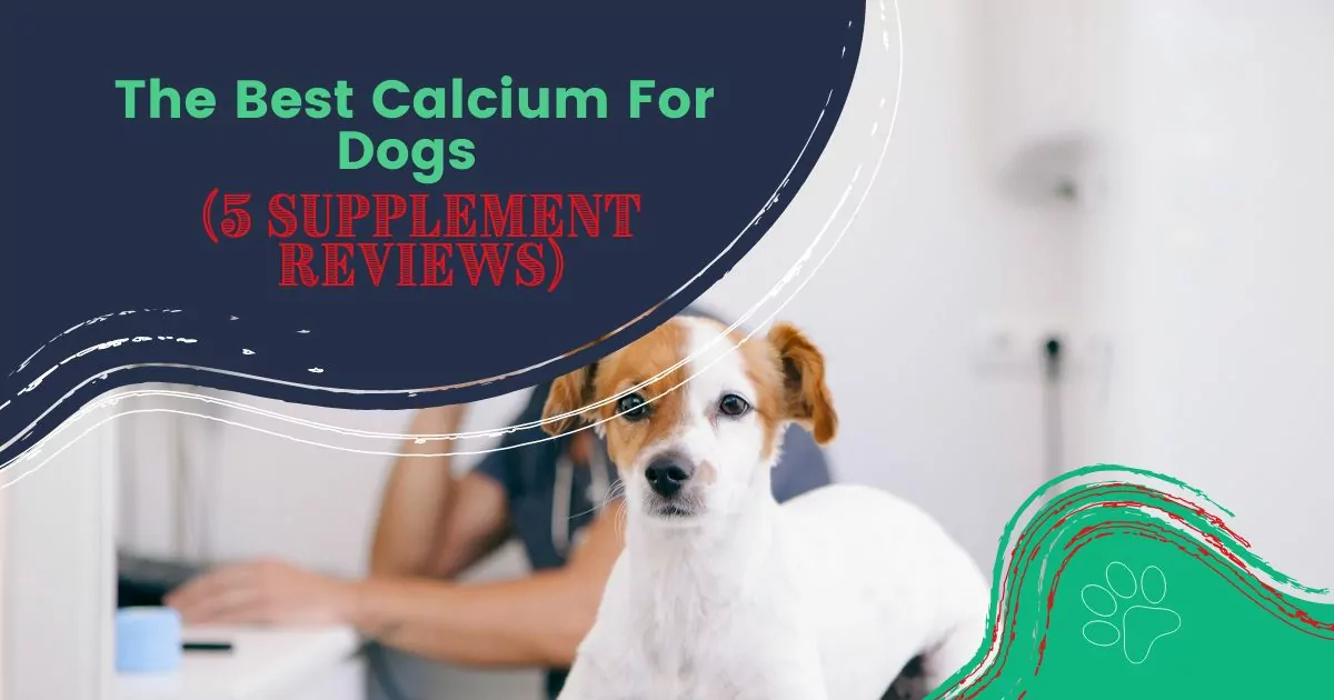 calcium for dogs