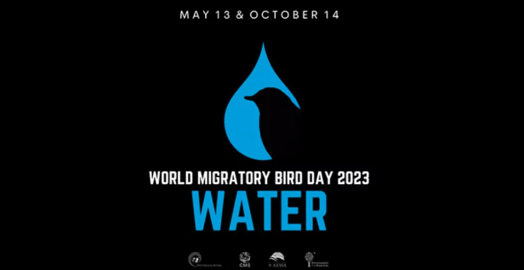 world migratory bird day 2023 logo