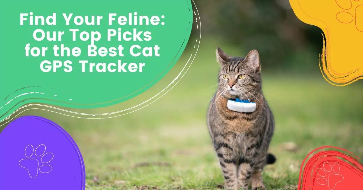 Cat GPS Tracker