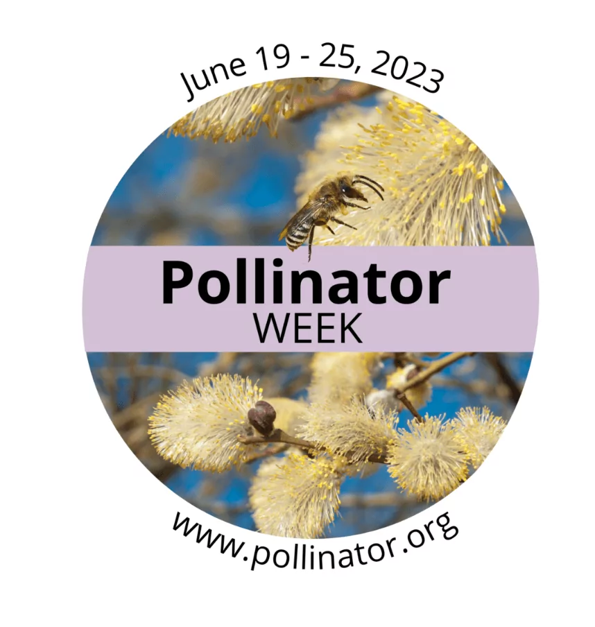 pollinator week 2023 banner and logo