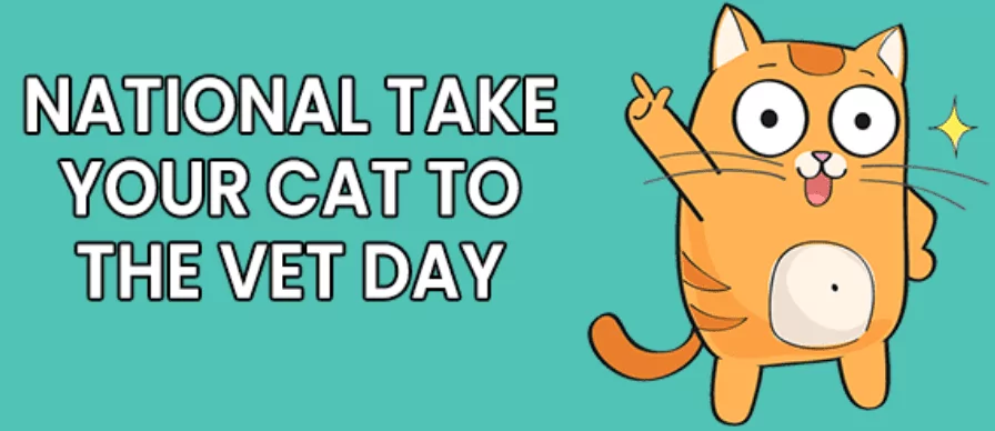 National take your cat to the vet day banner