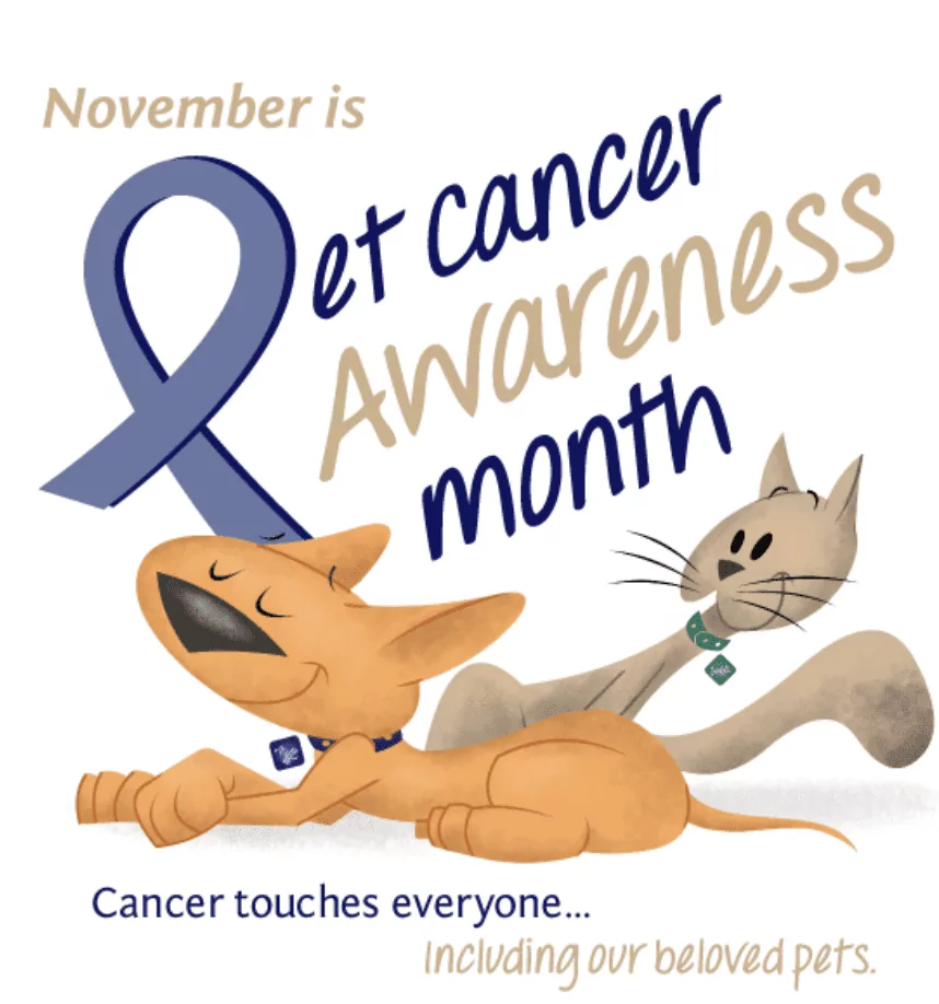 pet cancer awareness banner