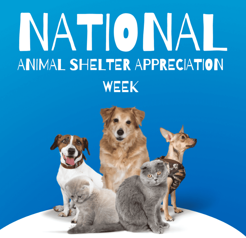 national animal shelter appreciation week banner