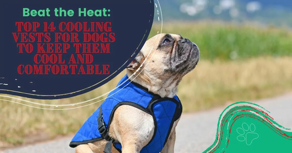Cooling Vests for Dogs