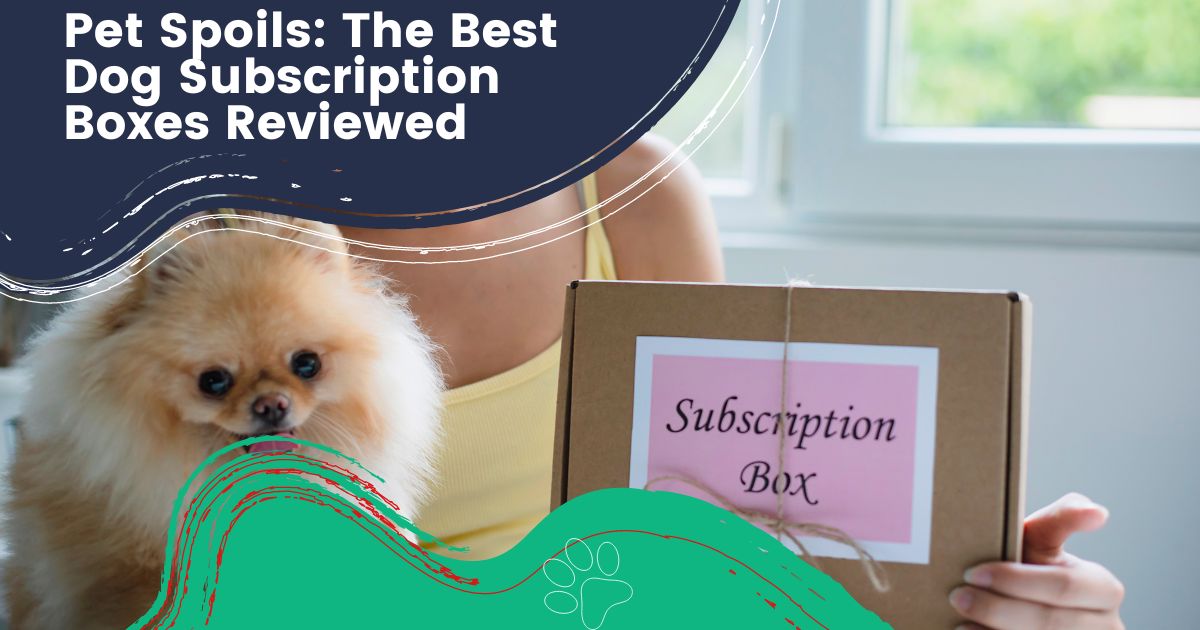 Dog Subscription Boxes
