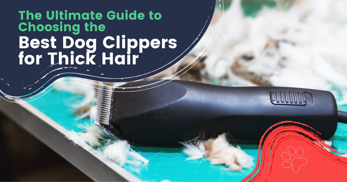 The Final Information to Selecting the Finest Canine Clippers for Thick Hair