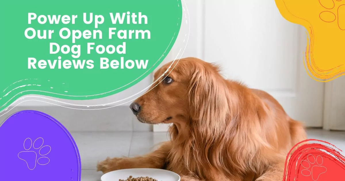 Open Farm Dog Food Reviews