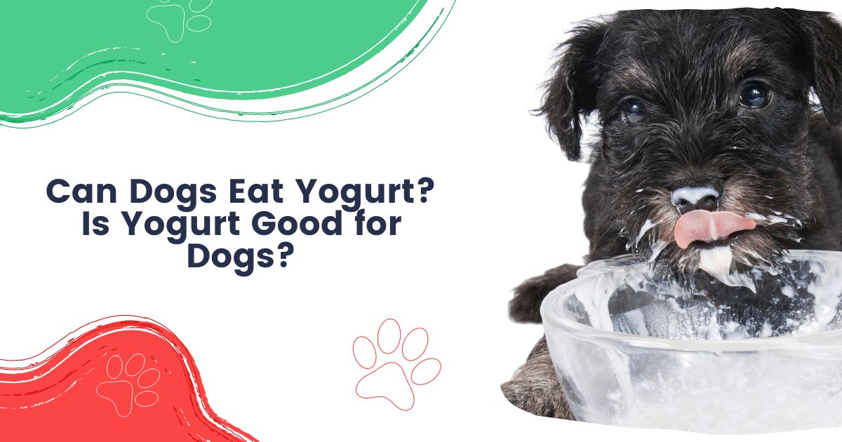 Cães podem comer iogurte?