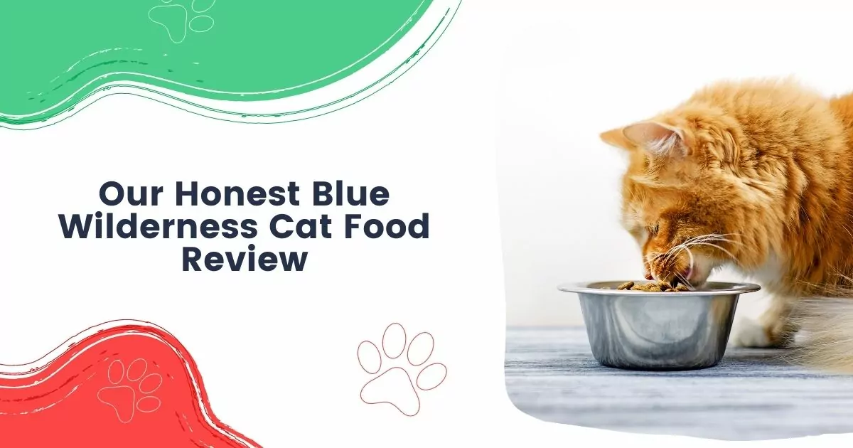 Our Honest Blue Wilderness Cat Food Review