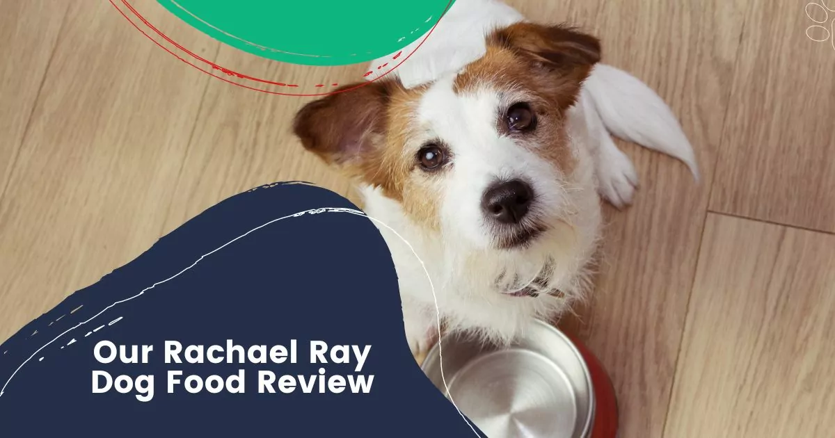 Our Rachael Ray Dog Food Review
