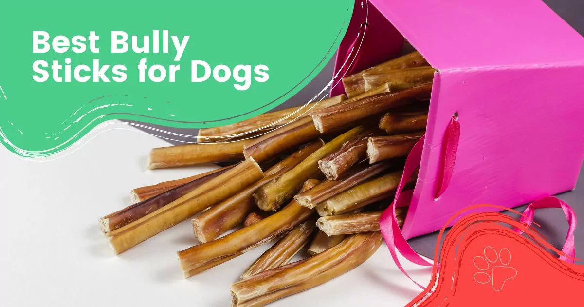 Best Bully Sticks for Dogs
