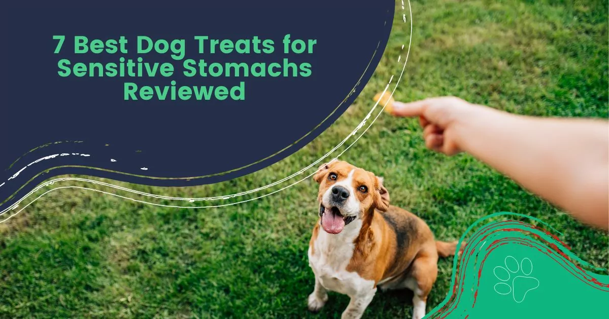 Dog Treats for Sensitive Stomachs