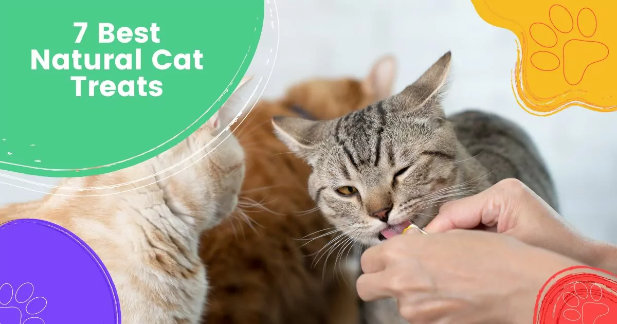7 Best Natural Cat Treats