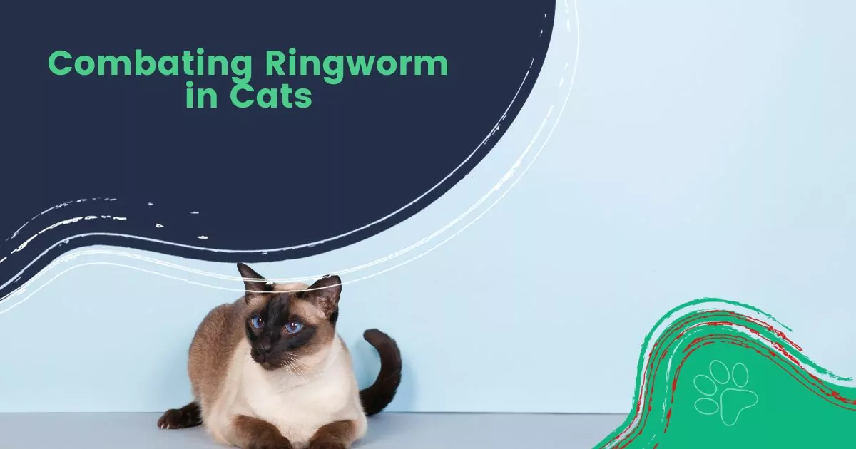 Combating Ringworm in Cats