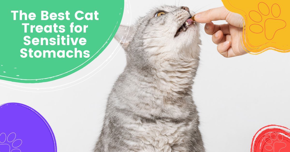 Guloseimas para gatos para estômagos sensíveis