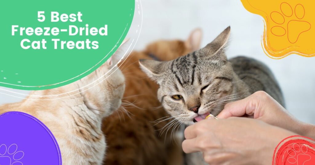 Las 5 mejores golosinas para gatos liofilizadas
